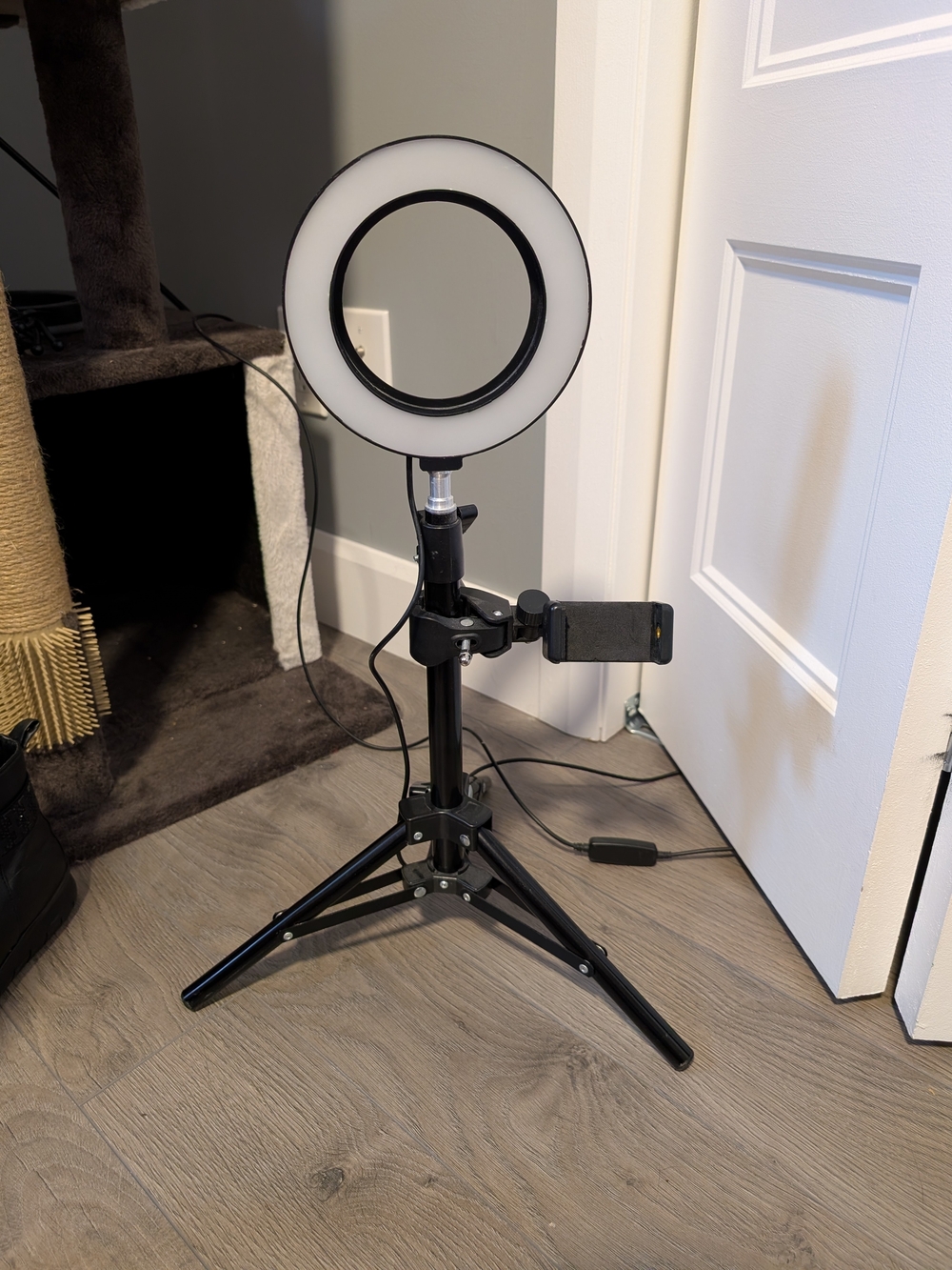 LED Ring Light with Phone Holder - Black